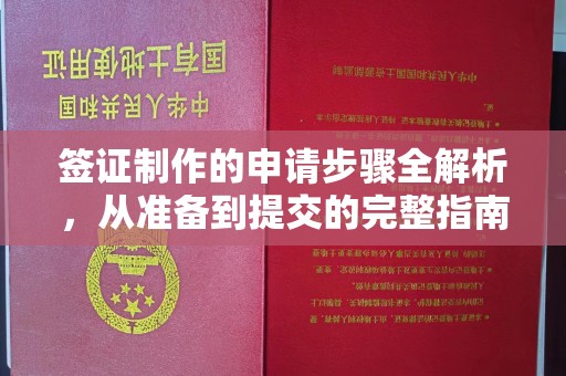 平顺签证制作的申请步骤全解析，从准备到提交的完整指南