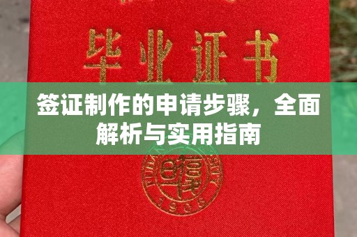 平顺签证制作的申请步骤，全面解析与实用指南